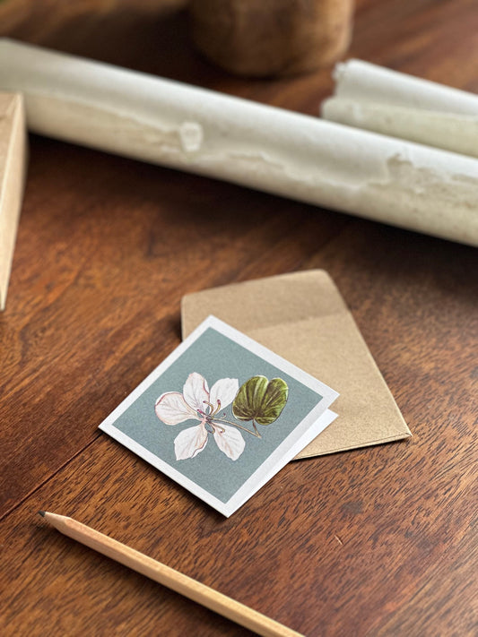 Set of Four Greeting Cards: Florals