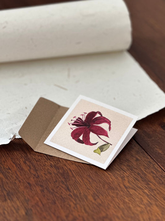 Set of Four Greeting Cards: Florals