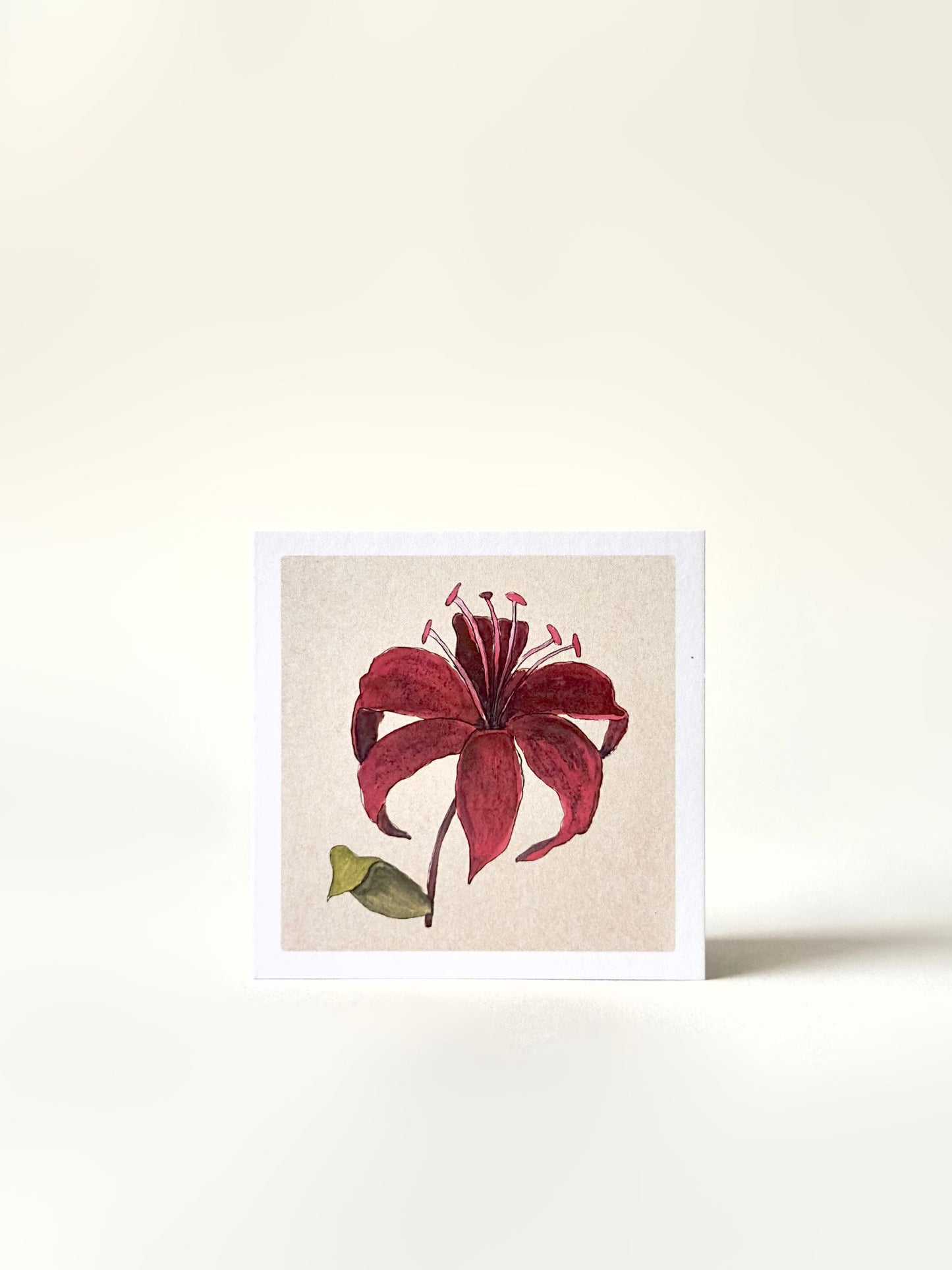 Set of Four Greeting Cards: Florals