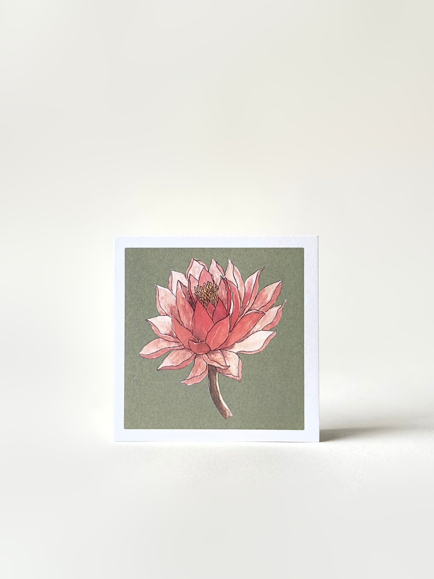 Set of Four Greeting Cards: Florals