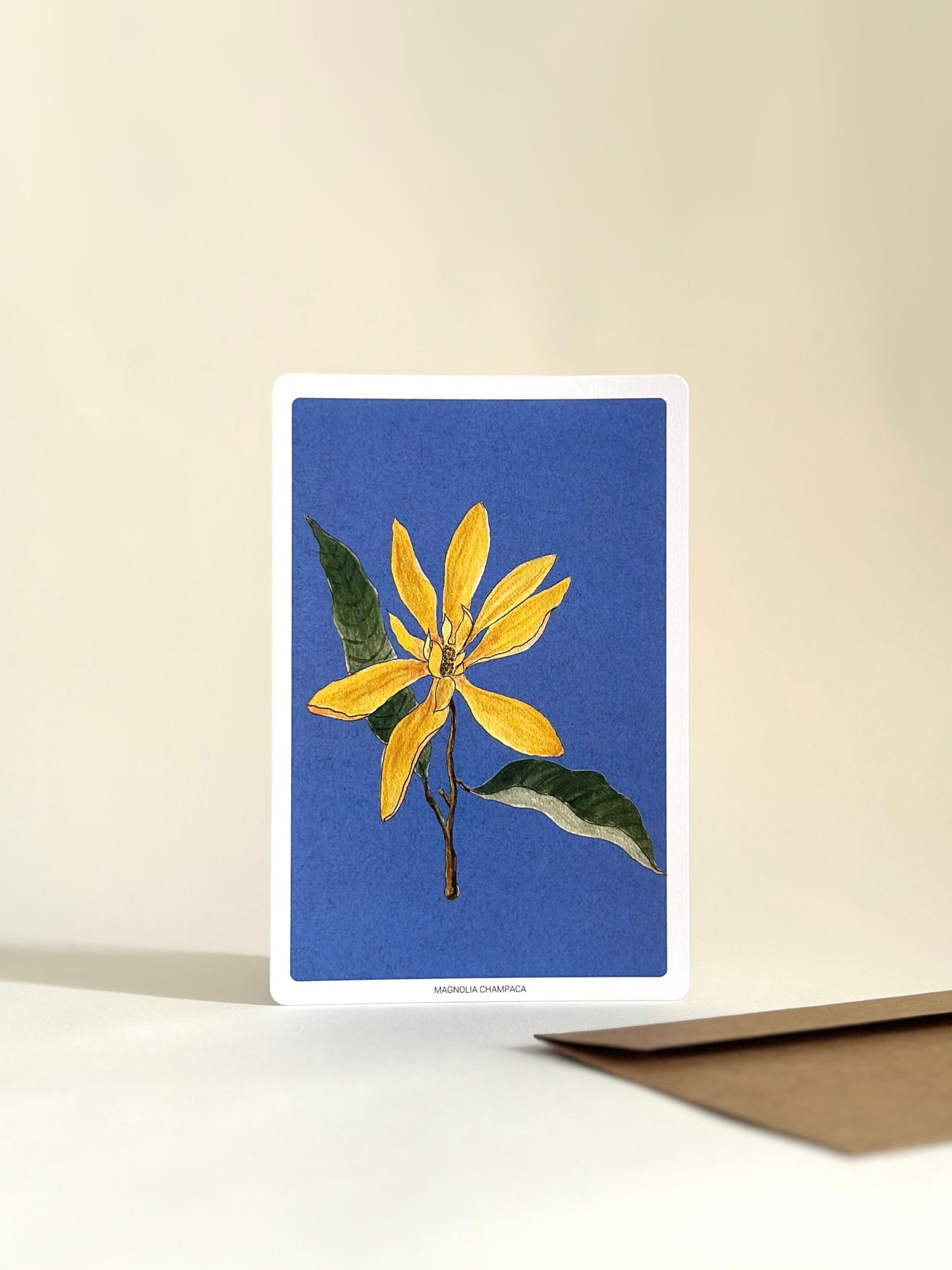 Set of Ten Floral Notecards (With Envelopes)