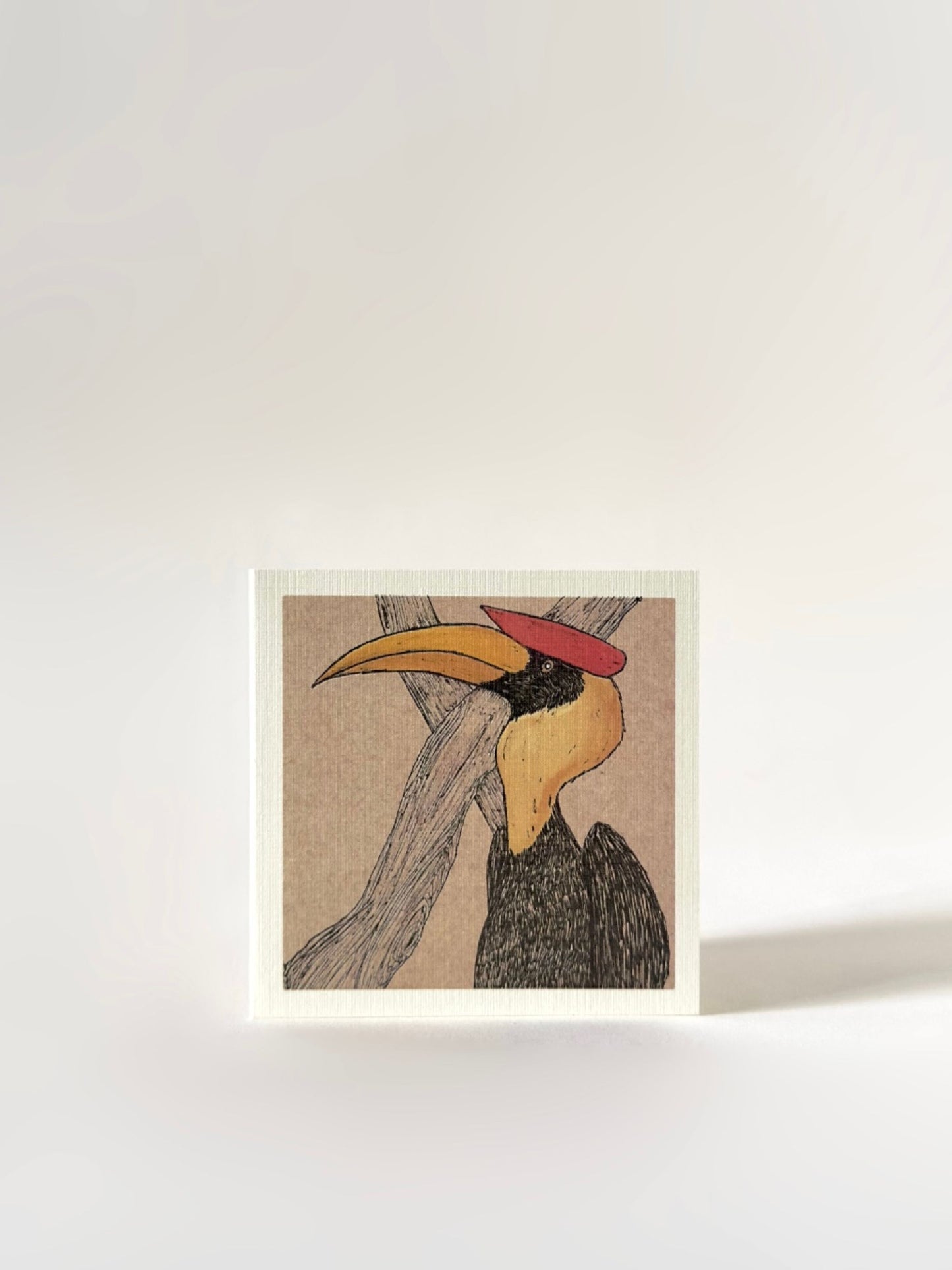 Set of Four Greeting Cards: Wildlife (The Great Indian Hornbill)