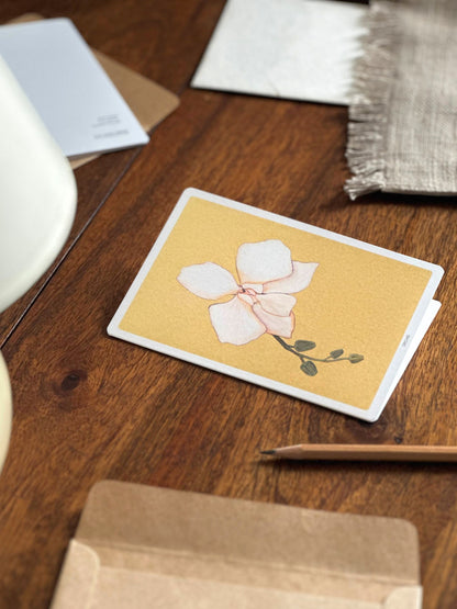 Set of 6 Floral Greeting Cards: Plumeria, Magnolia and Orchid