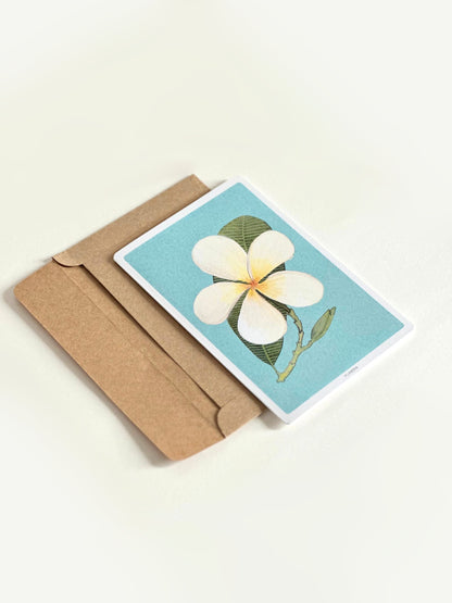Set of 6 Floral Greeting Cards: Plumeria, Magnolia and Orchid