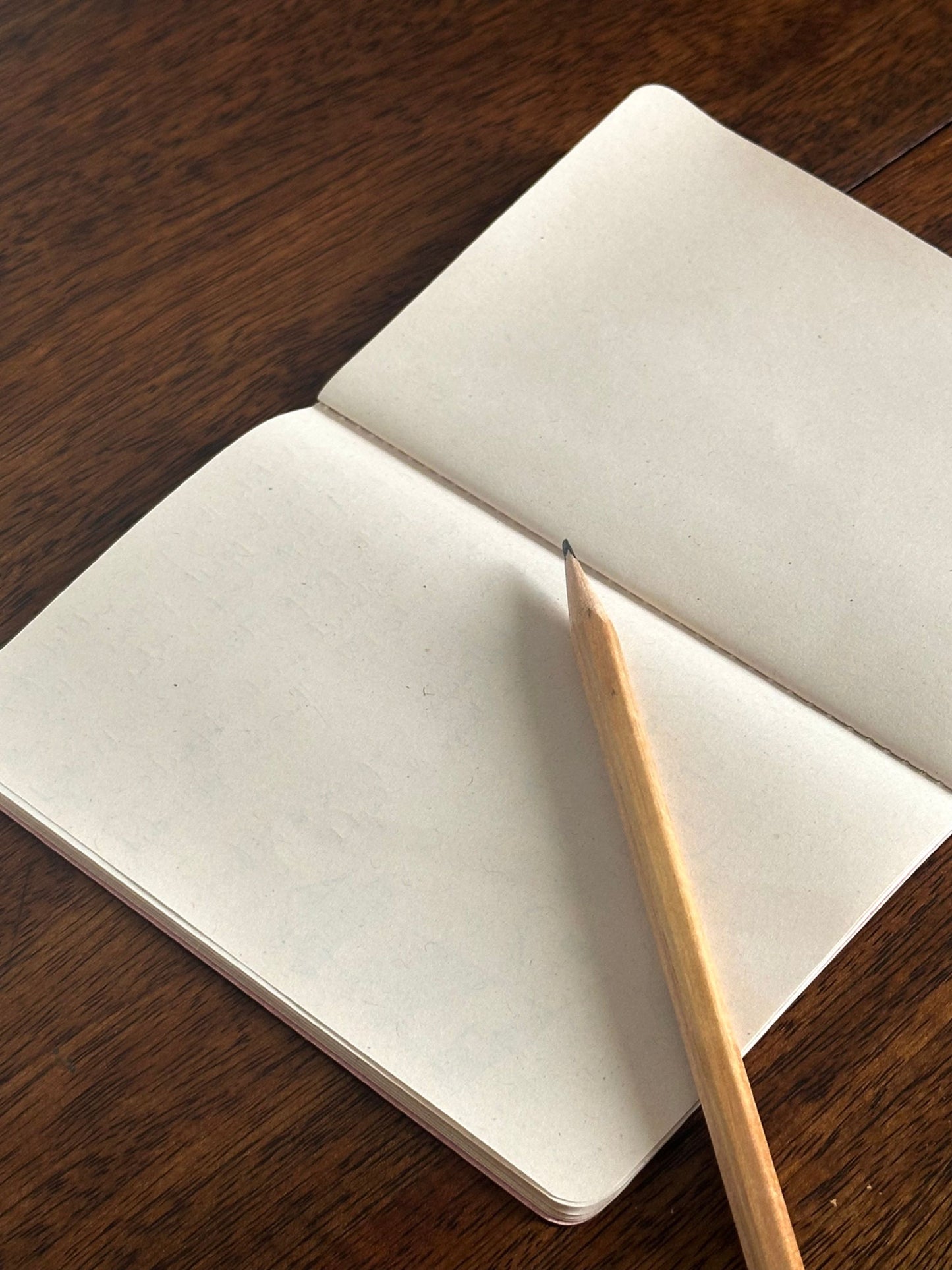 Pink Eco-friendly Pocket Diary