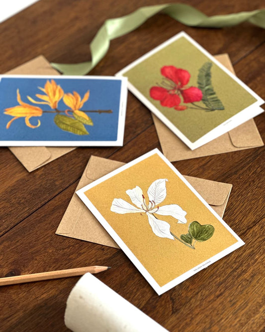 Indian Floral Greeting Cards: Gulmohar, Bauhinia and Champaca