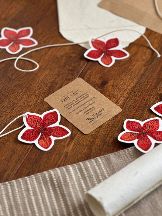 Set of 6 Floral Gift Tags: Mokara Orchids