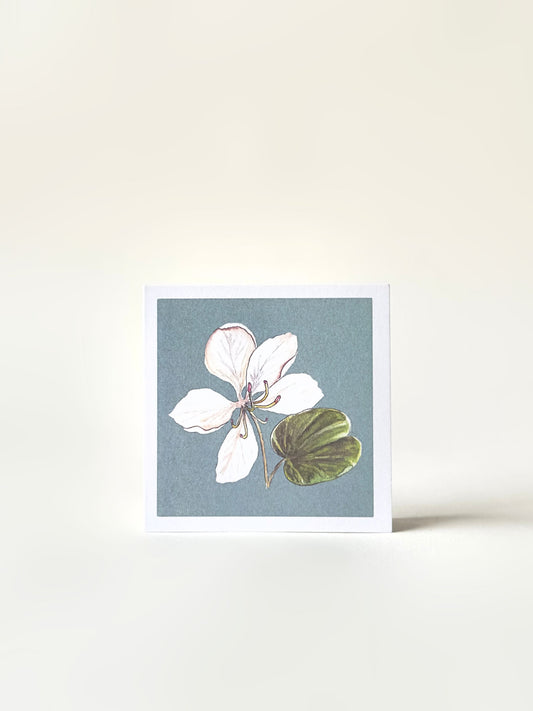 SET OF FOUR GREETING CARDS: FLORALS