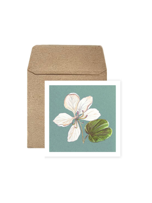 Set of Four Greeting Cards: Florals