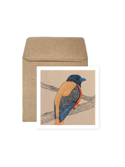 Set of Four Greeting Cards: Wildlife (Malabar Trogon)