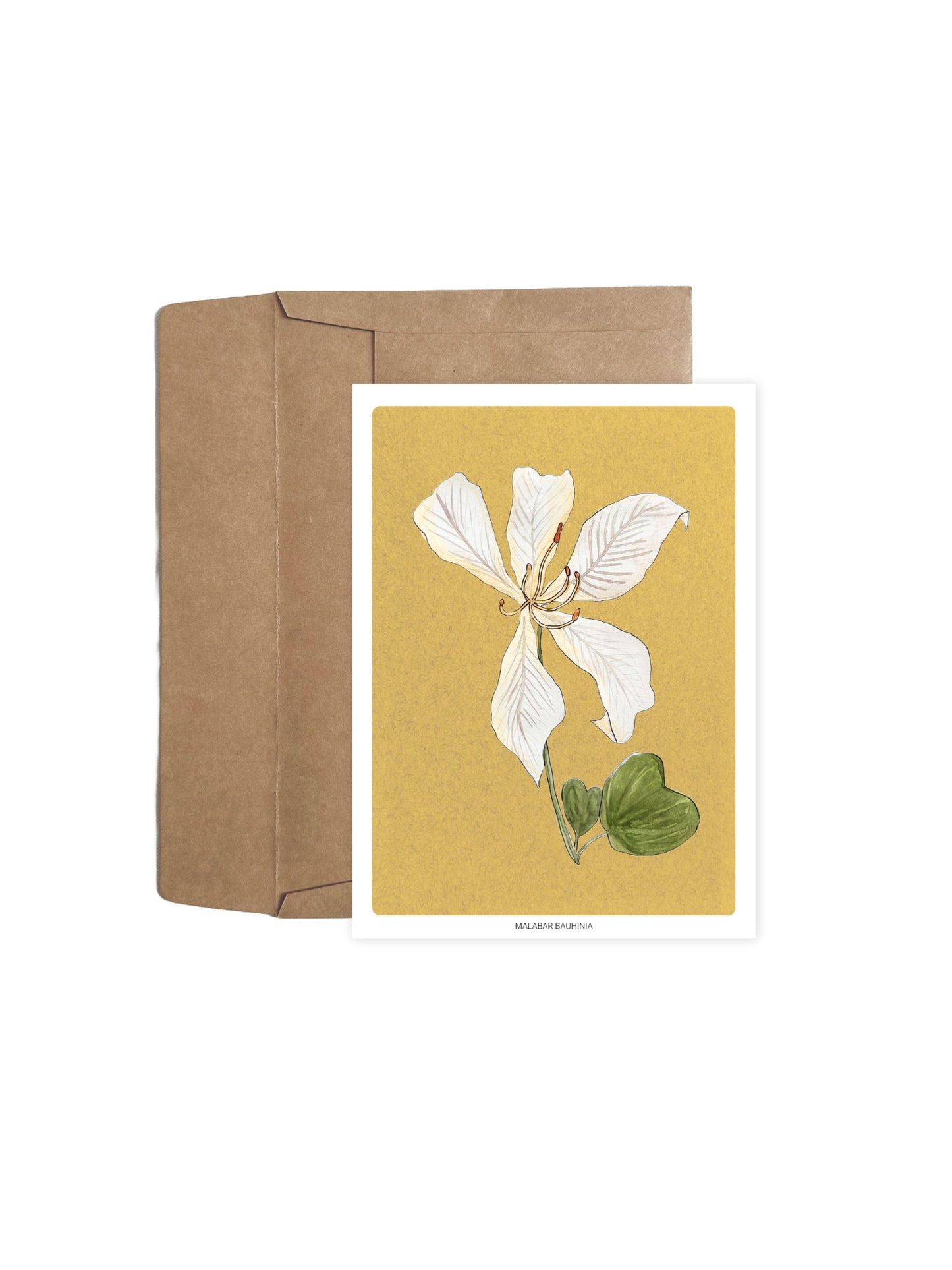 Set of Ten Floral Notecards (With Envelopes)