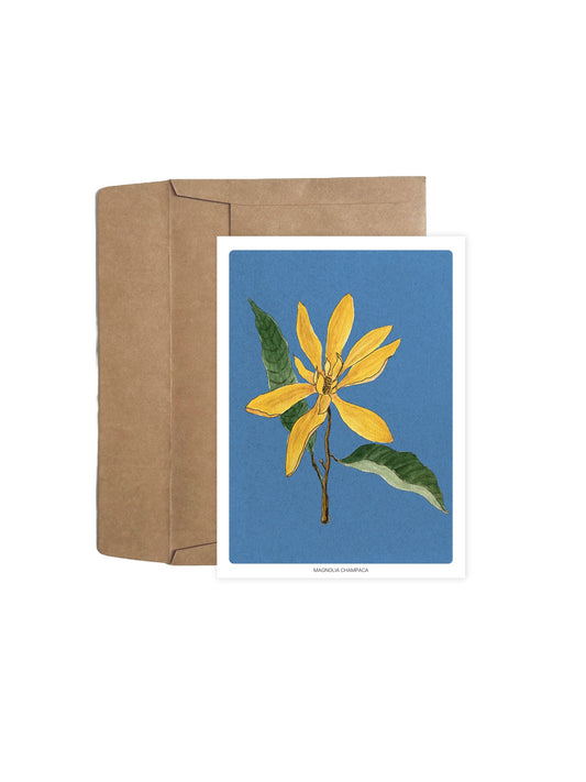 Set of Ten Floral Notecards (With Envelopes)