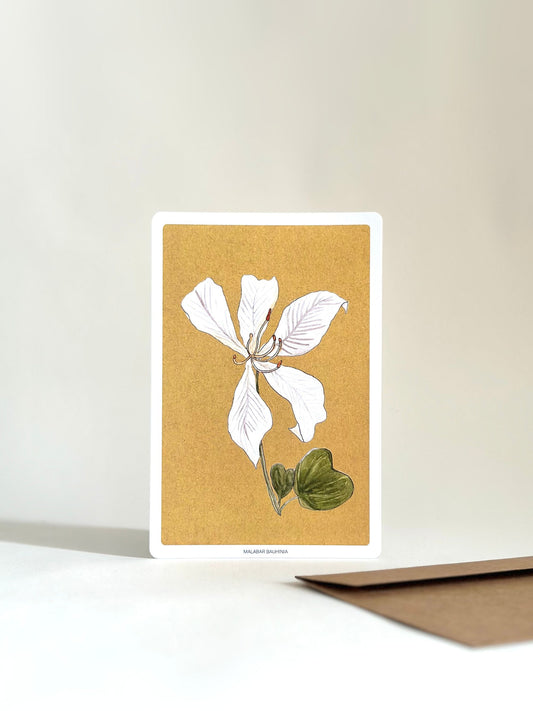 SET OF TEN FLORAL NOTECARDS (WITH ENVELOPES)