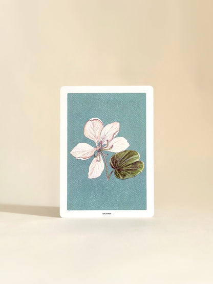 SET OF TEN NOTECARDS: FLORAL