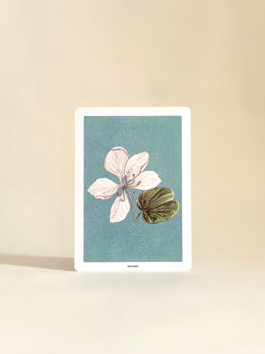 SET OF TEN NOTECARDS: FLORAL