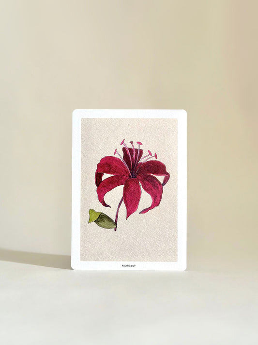 SET OF TEN NOTECARDS: FLORAL