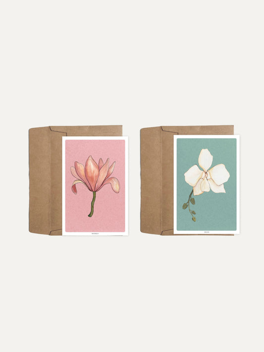 Two floral prints in cardboard boxes on a white background